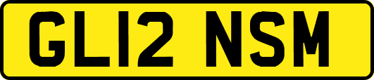 GL12NSM