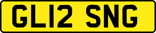 GL12SNG
