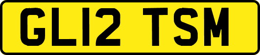 GL12TSM