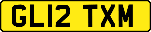 GL12TXM