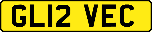 GL12VEC
