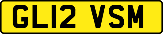 GL12VSM