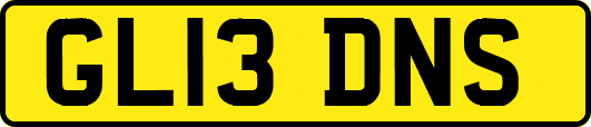 GL13DNS