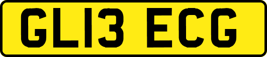 GL13ECG