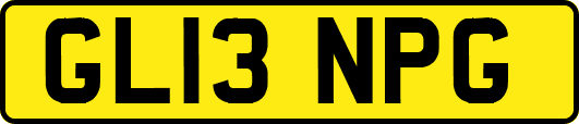 GL13NPG