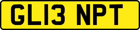 GL13NPT