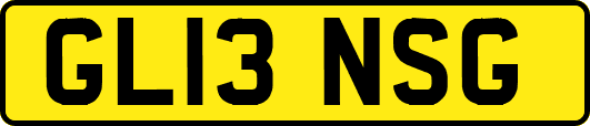 GL13NSG