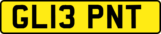 GL13PNT