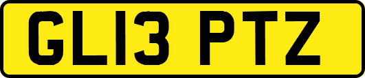 GL13PTZ