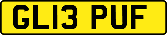 GL13PUF