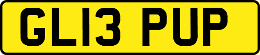 GL13PUP