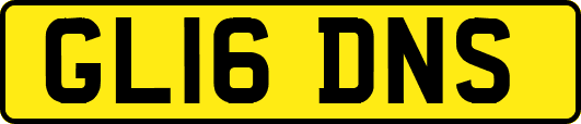 GL16DNS