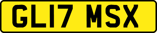 GL17MSX