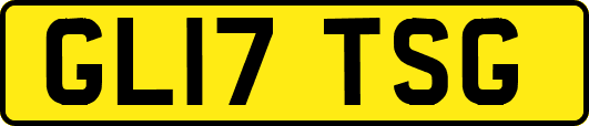 GL17TSG