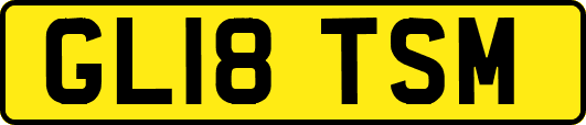 GL18TSM