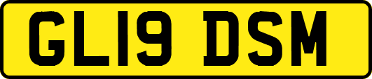 GL19DSM
