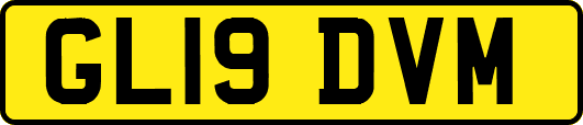 GL19DVM