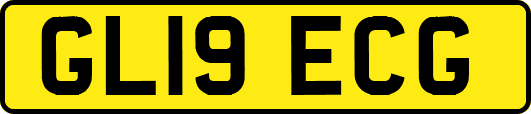 GL19ECG