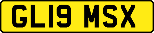 GL19MSX