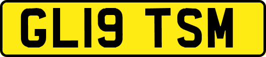 GL19TSM
