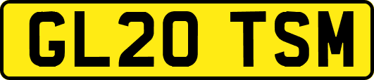 GL20TSM