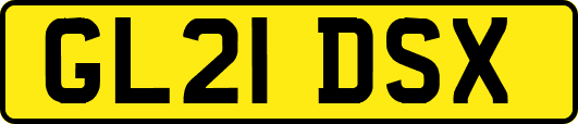 GL21DSX