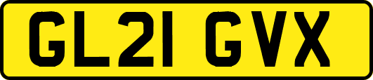 GL21GVX