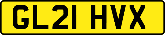 GL21HVX
