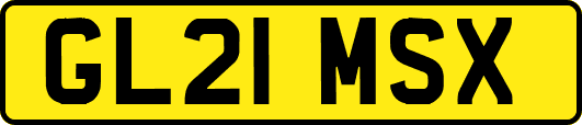 GL21MSX