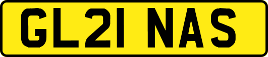GL21NAS