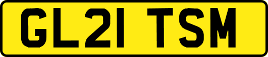 GL21TSM