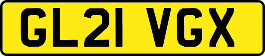 GL21VGX