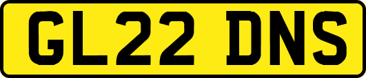 GL22DNS