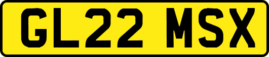 GL22MSX