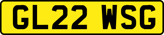 GL22WSG