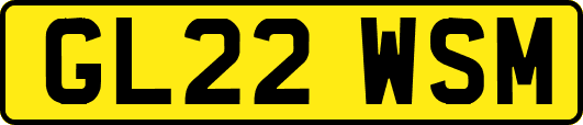 GL22WSM