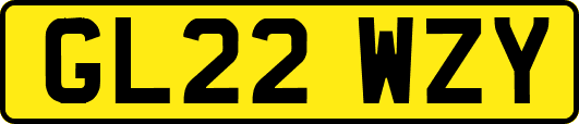 GL22WZY