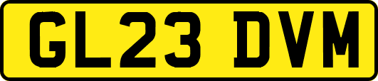 GL23DVM