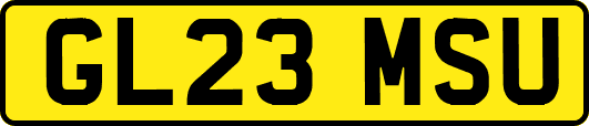 GL23MSU