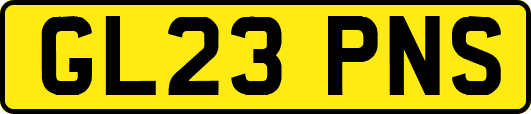 GL23PNS