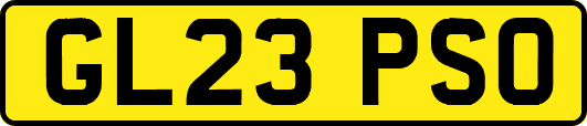 GL23PSO
