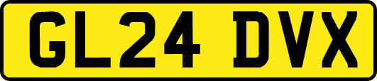 GL24DVX