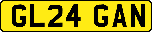 GL24GAN