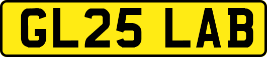 GL25LAB