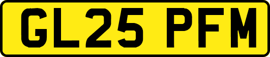 GL25PFM