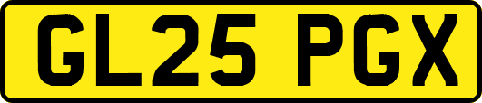 GL25PGX