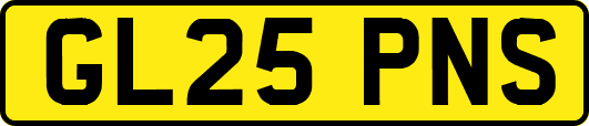 GL25PNS
