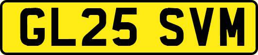 GL25SVM