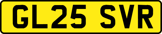 GL25SVR