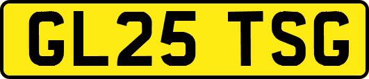 GL25TSG